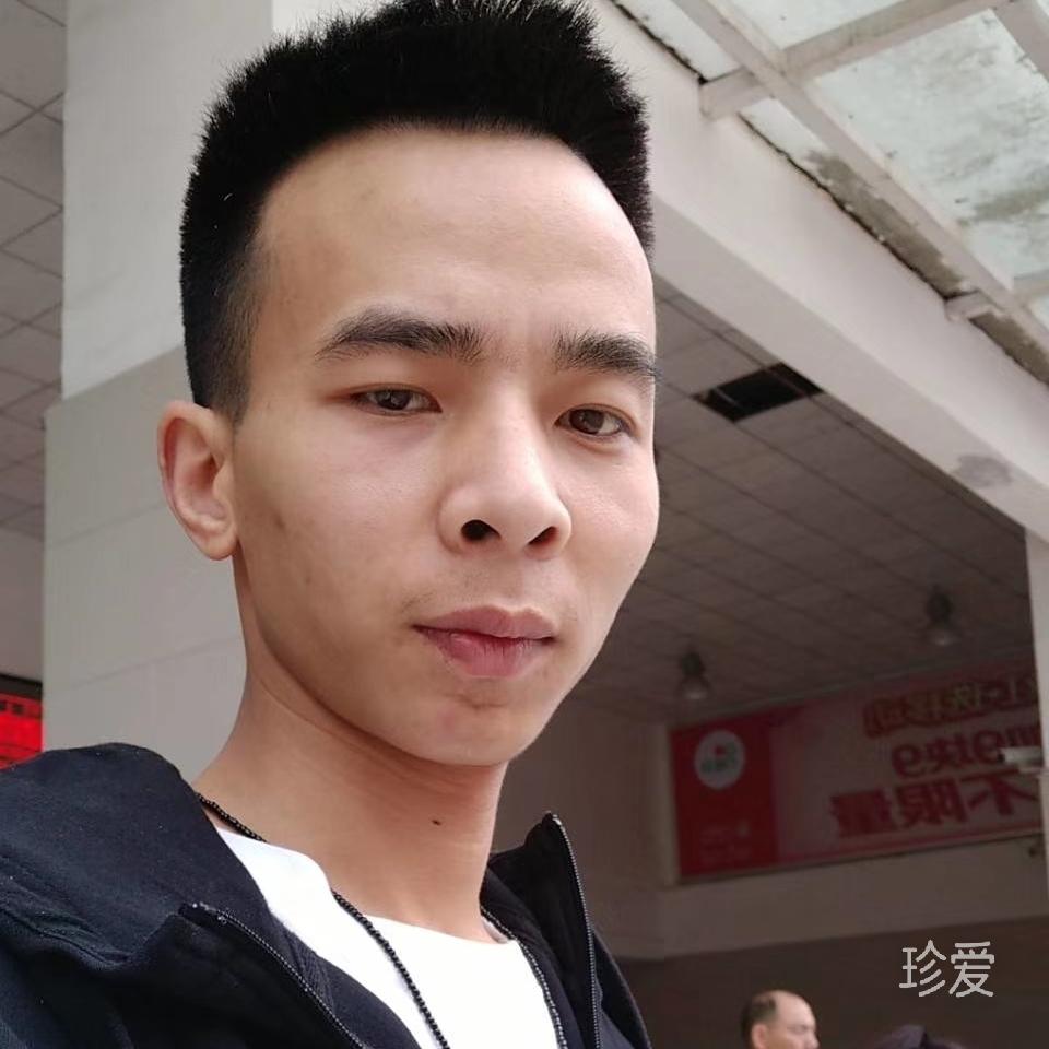 昨夜一梦
