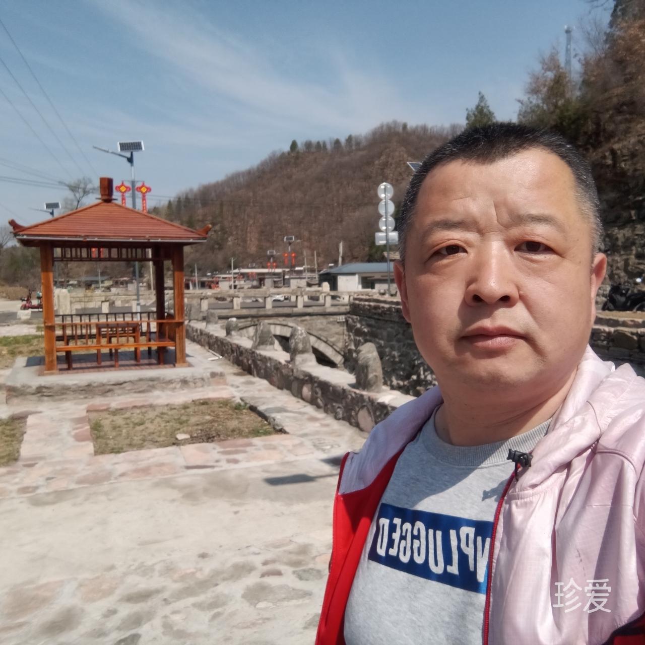 平安鸟