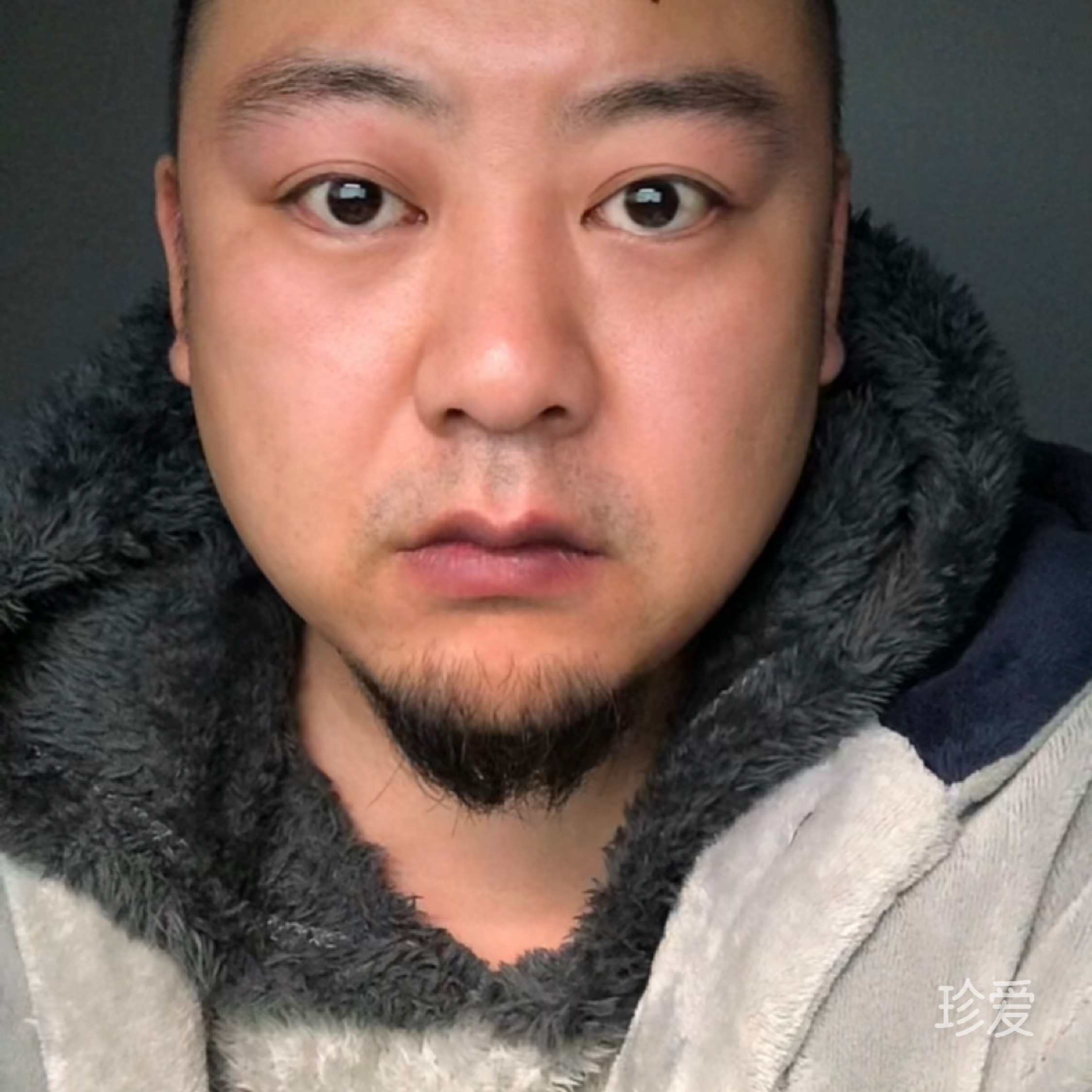 聰明樂(lè)觀的熊