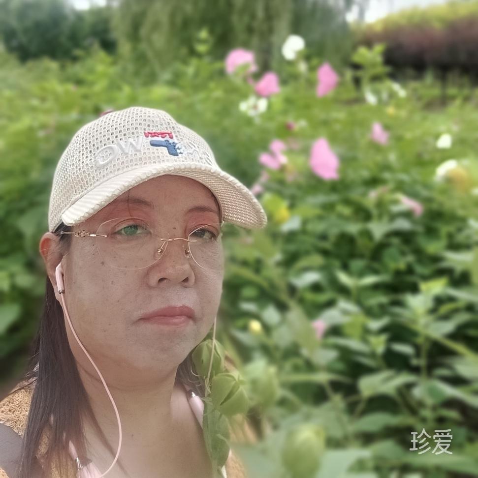 风萦飞扬