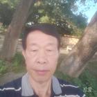 心在