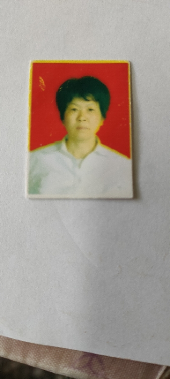 陽(yáng)光下的海鷗