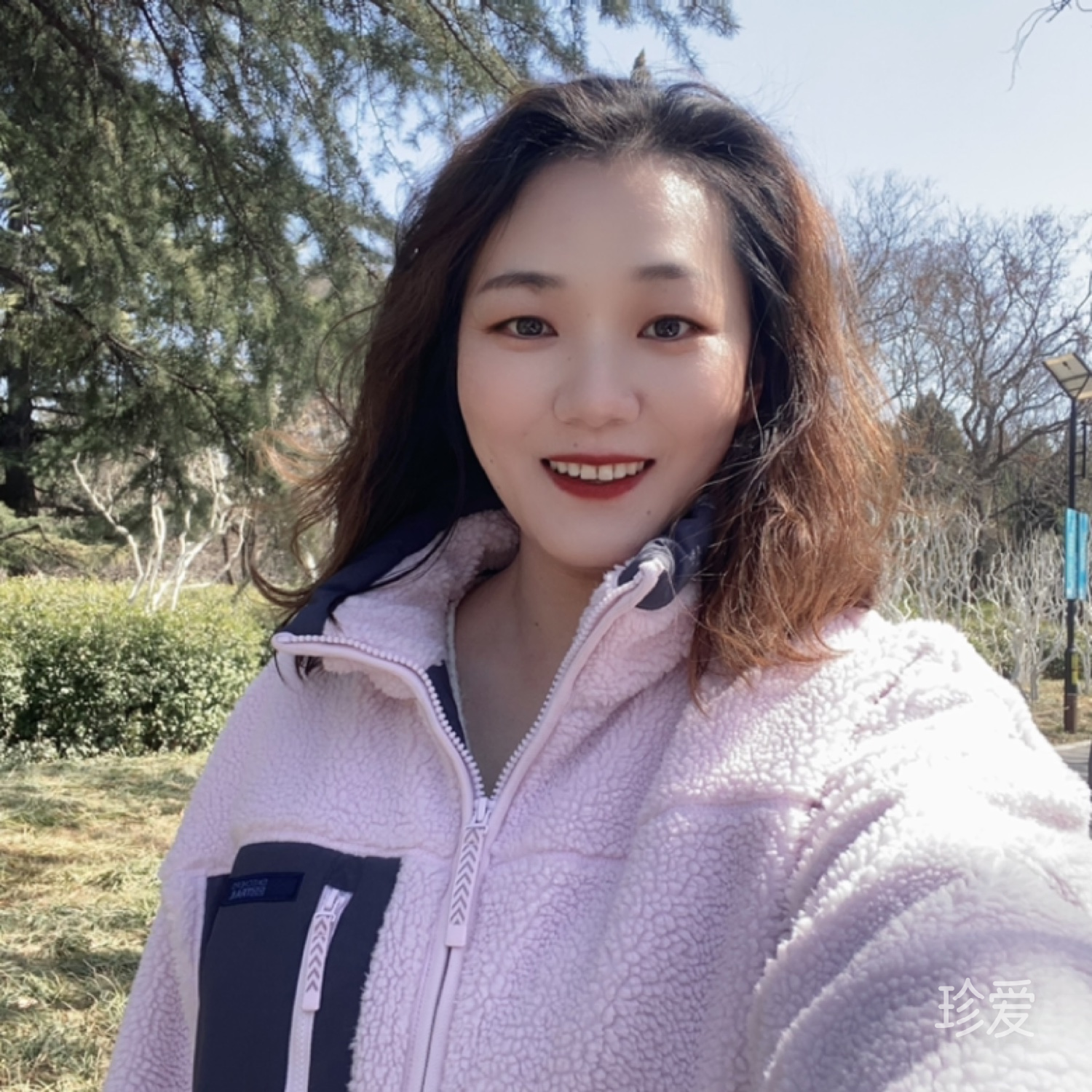 sunshine