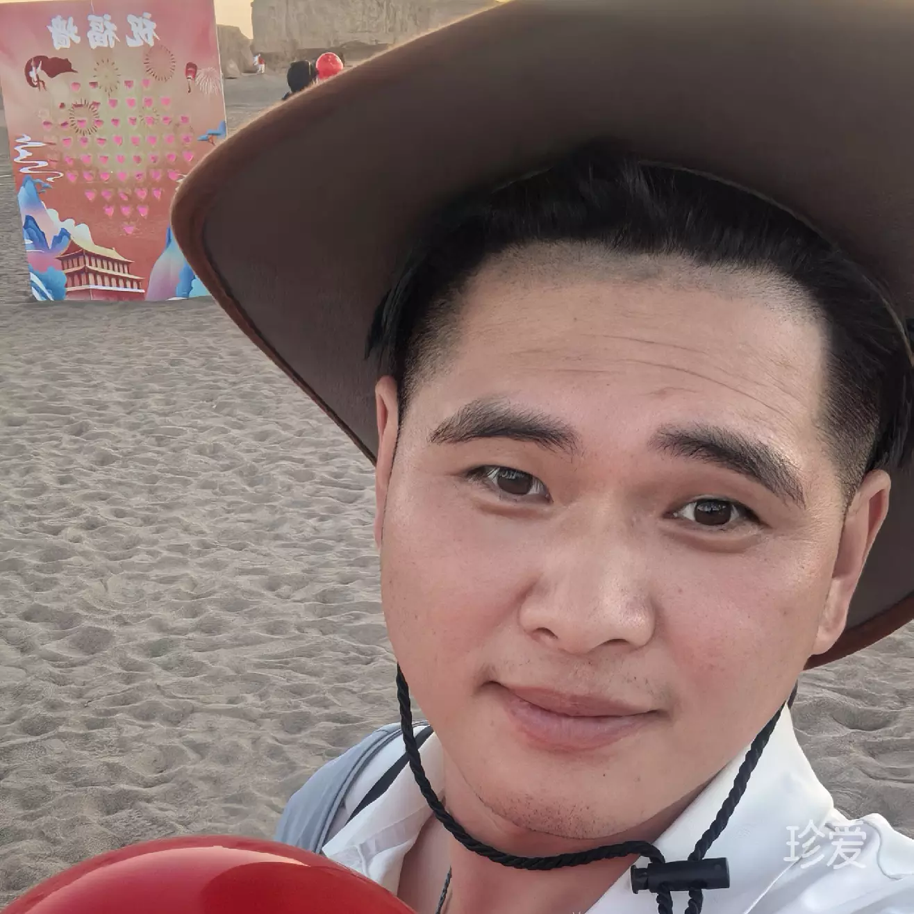 平淡的绿叶