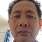 青色印象云松