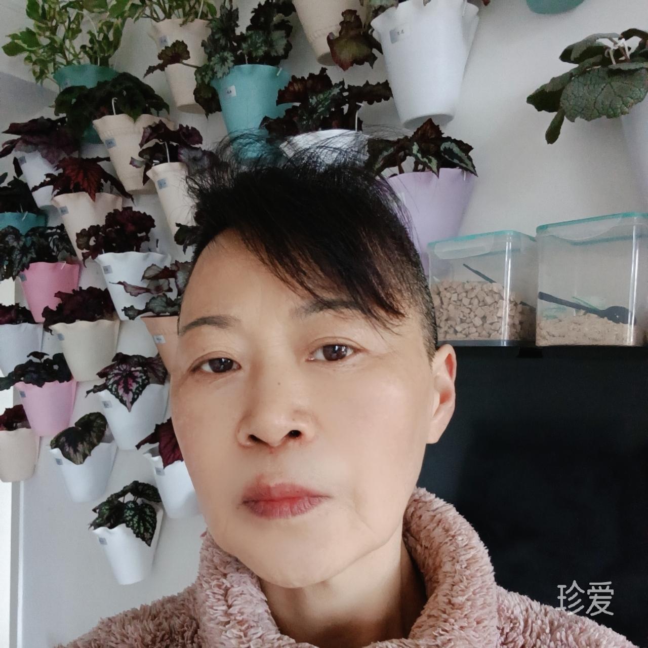 小白兔是只黑猫