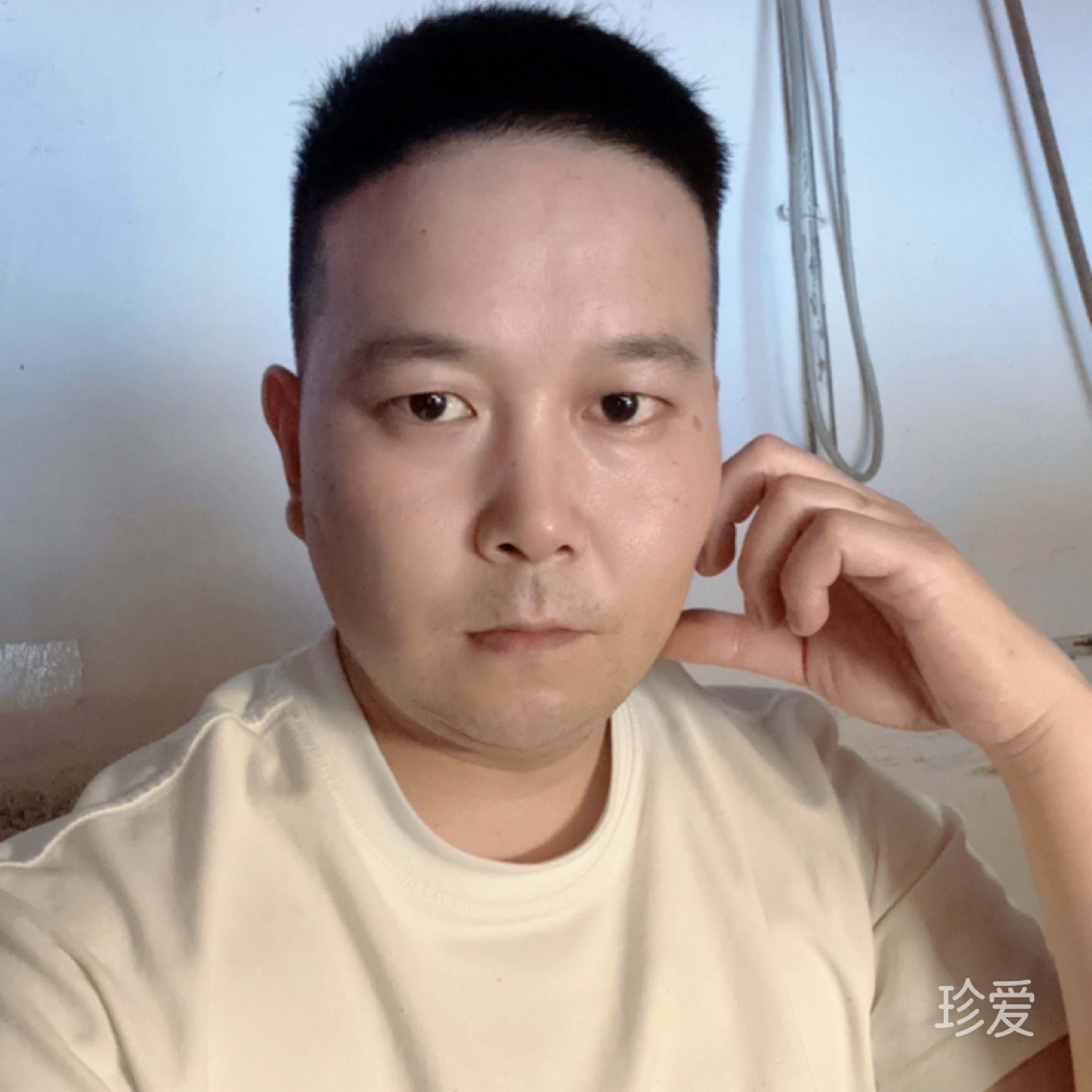 杨洋
