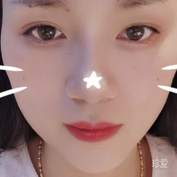 海边的猫