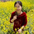 莫斯科沒(méi)有眼淚