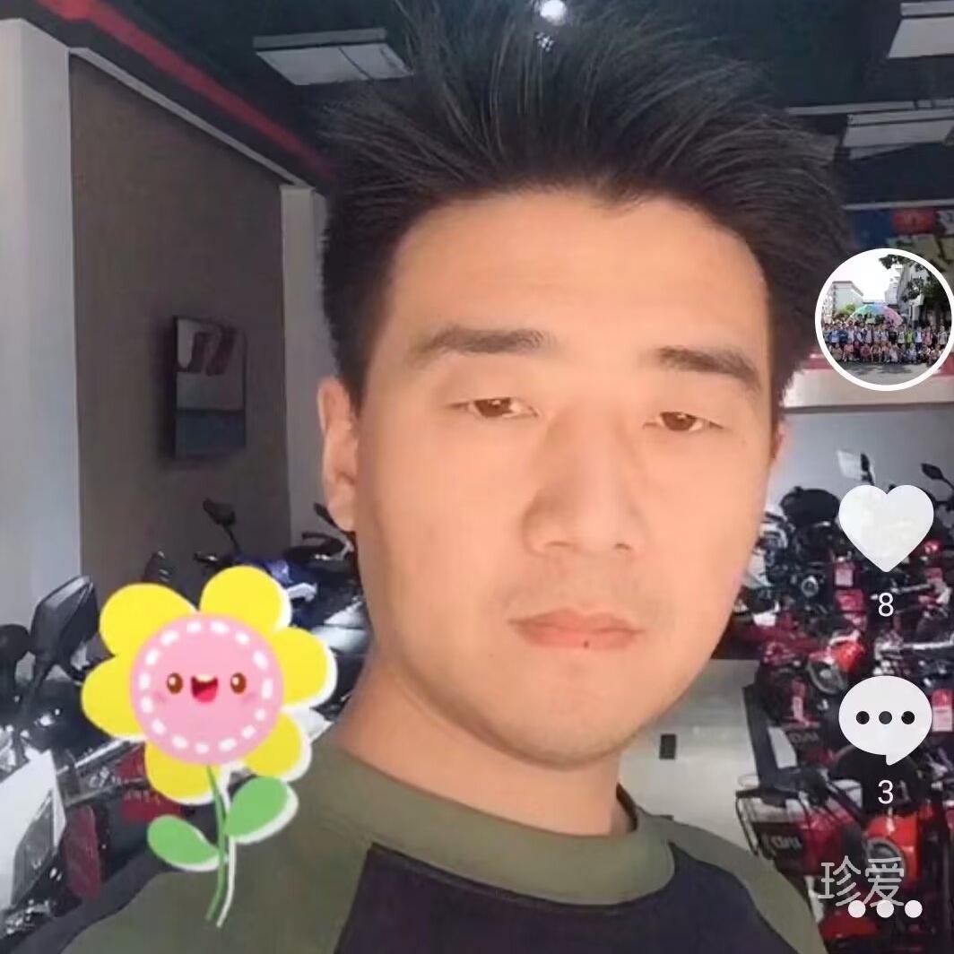 枫树