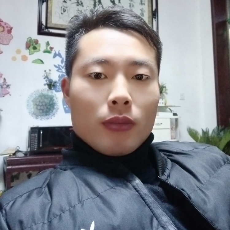 菩提樹(shù)下尋找你