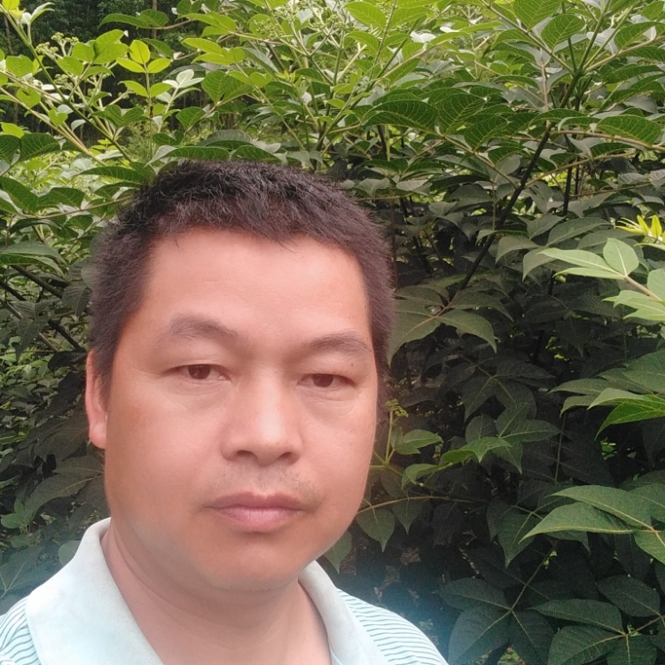 种植吴茱萸合作社