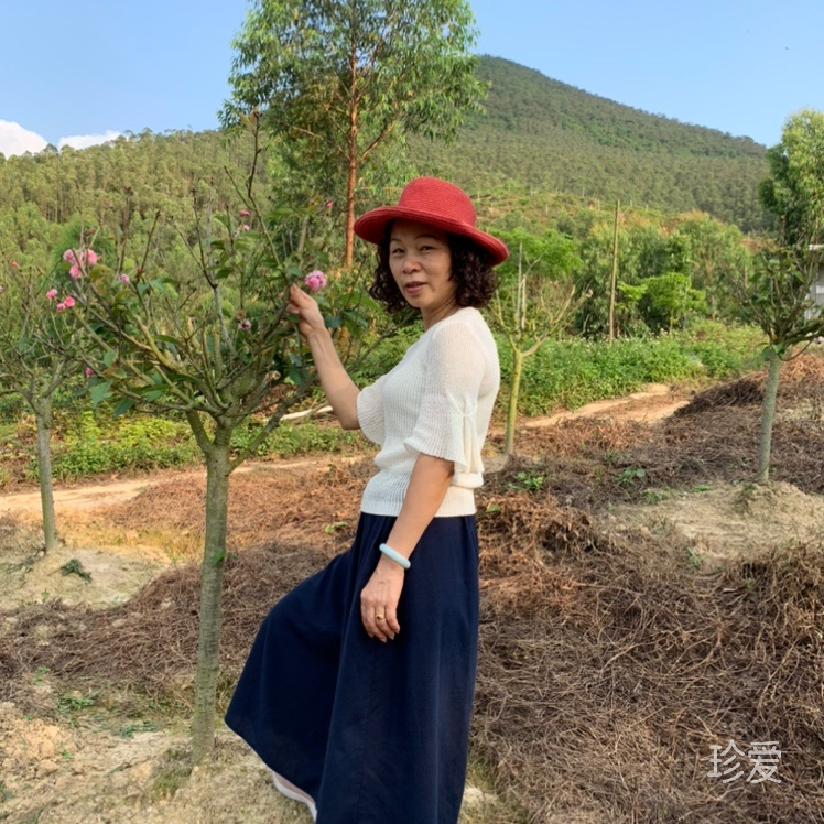 古龙天使