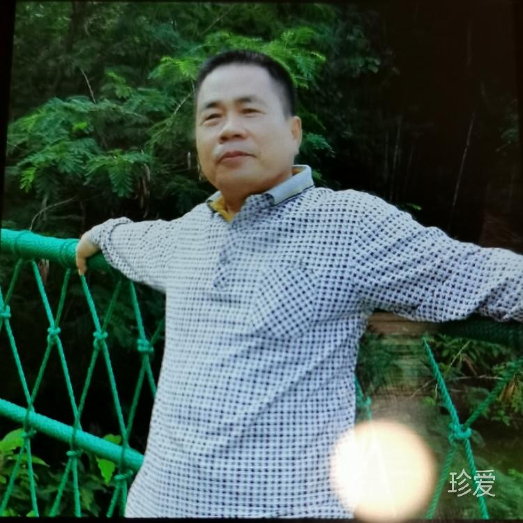 凤凰涅槃