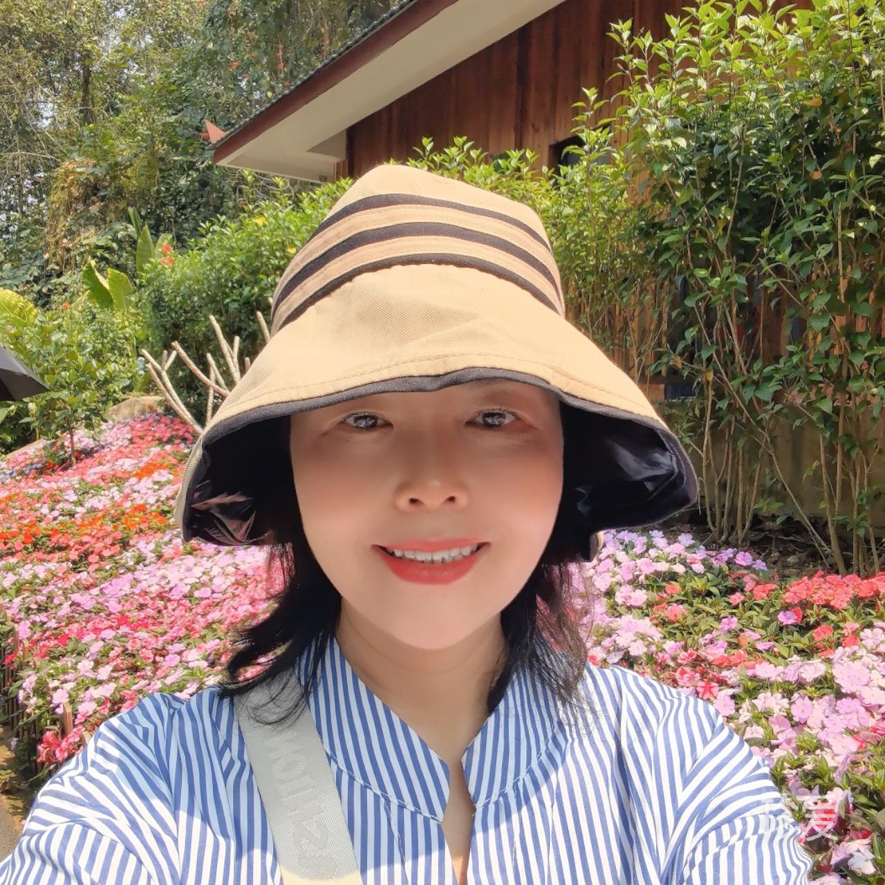 凤舞飞扬
