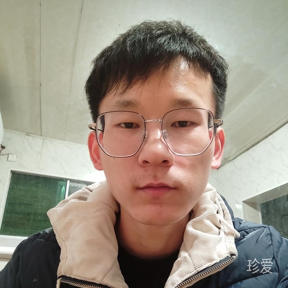 一个上班的胖胖猪