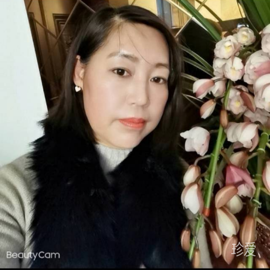 清风知意