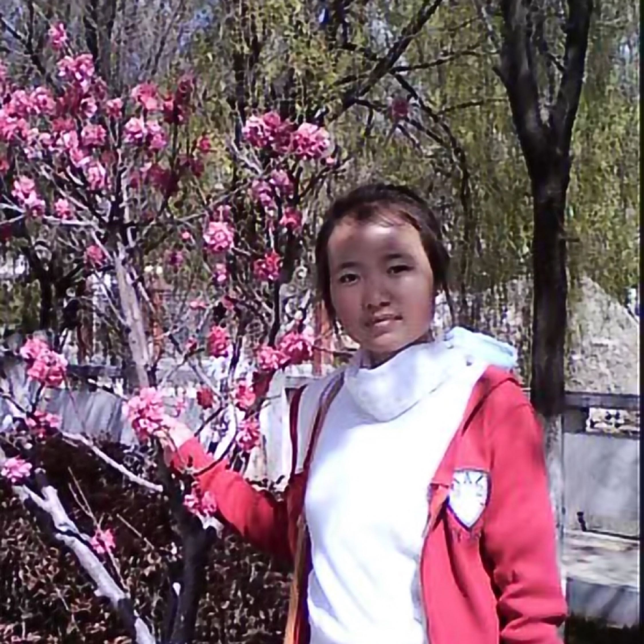 登上气球抓幸福