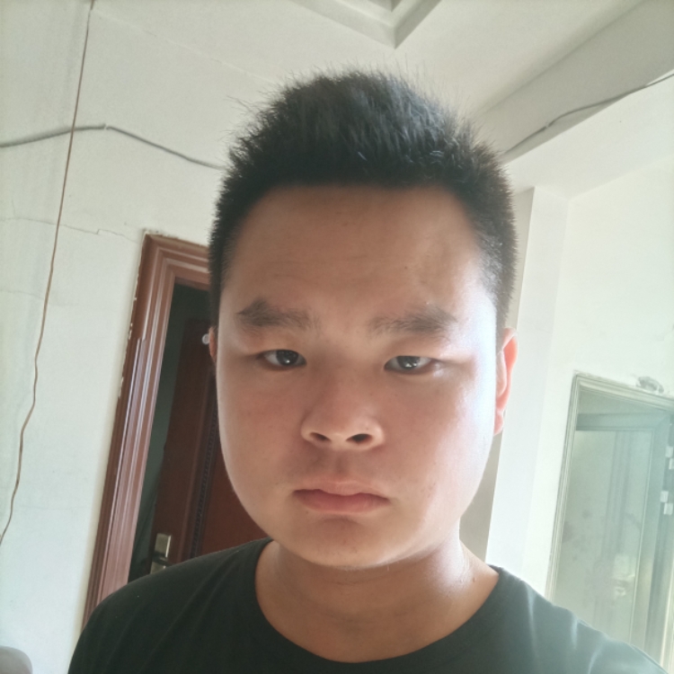 独一无二的蓝胖子