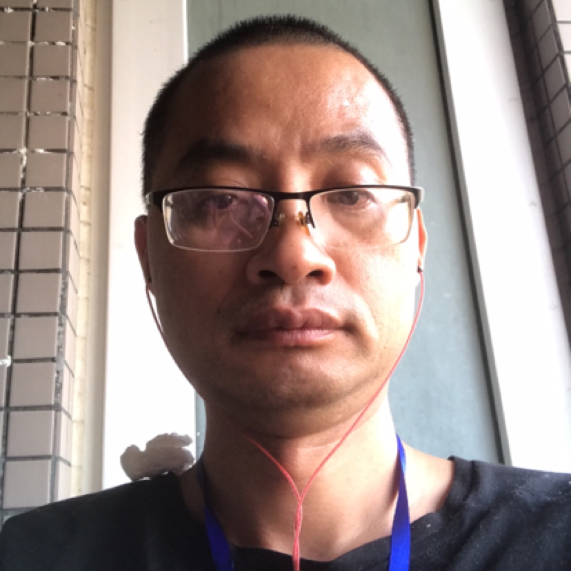 如何对付一只猫