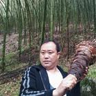 一生的守候