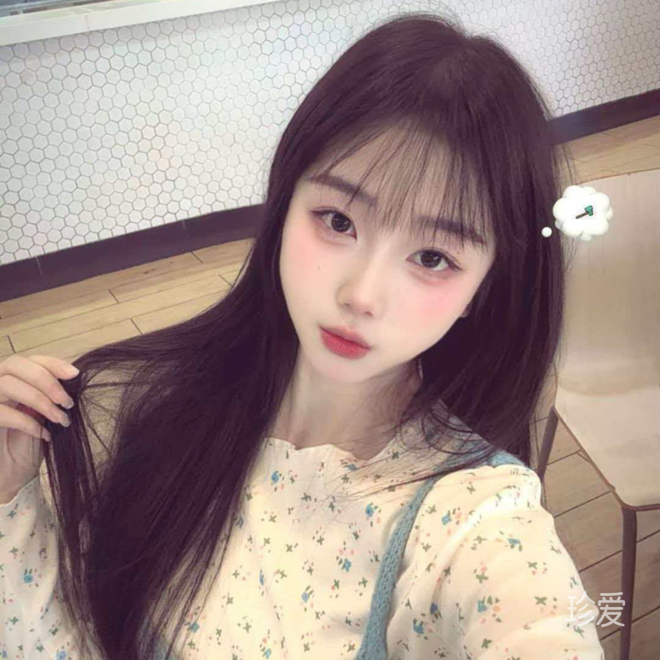 佳欣