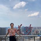 卷心淡淡