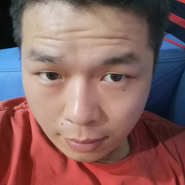 我的紫霞在哪里