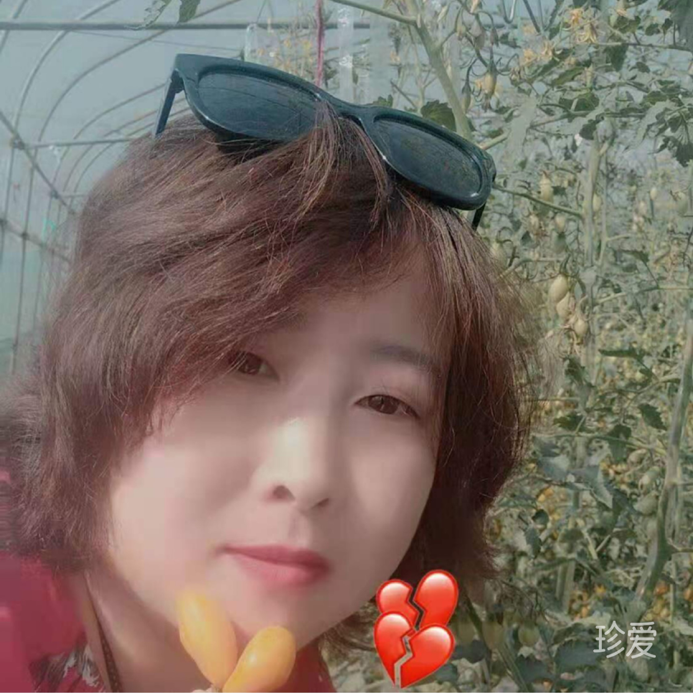 有缘之心伴你终生