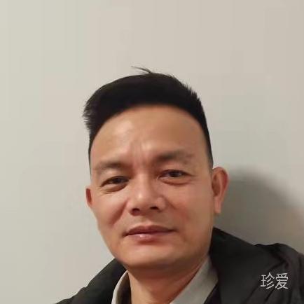 青松光