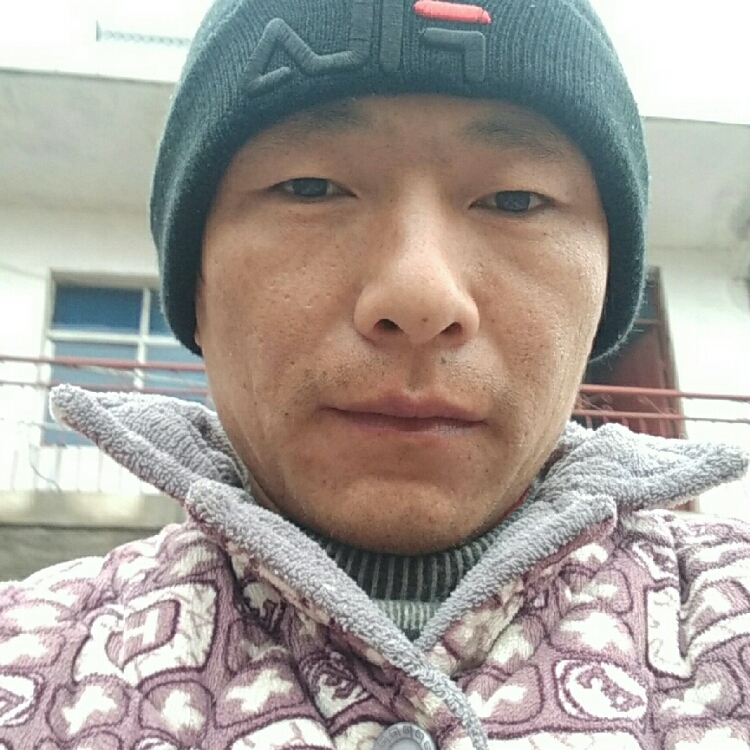 漂泊的灰太狼