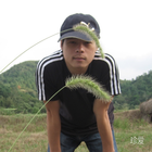 被遺忘者