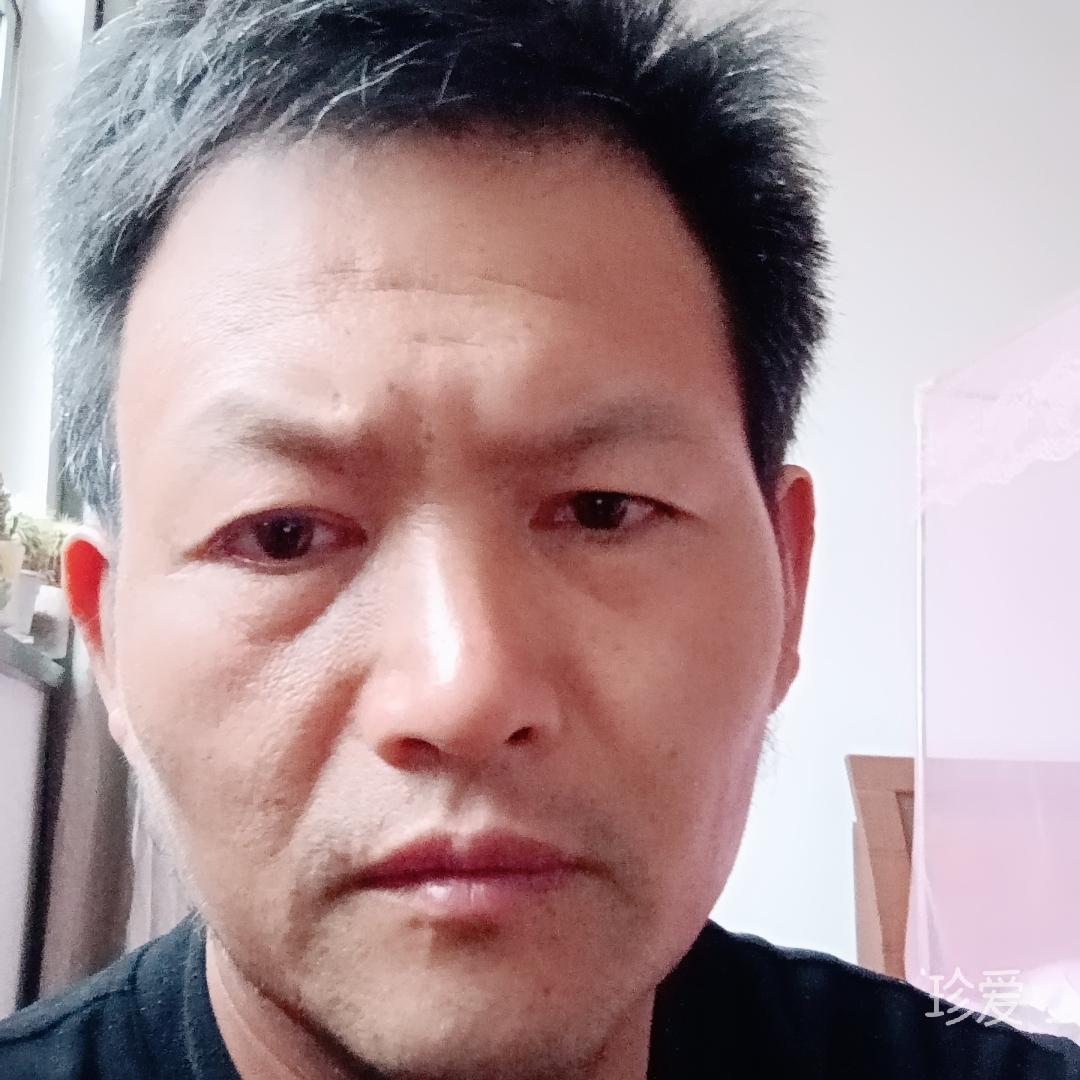 既无风雨便无愁