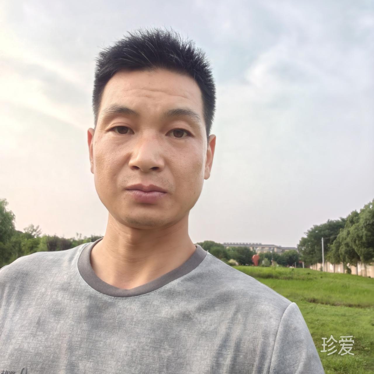王美伦