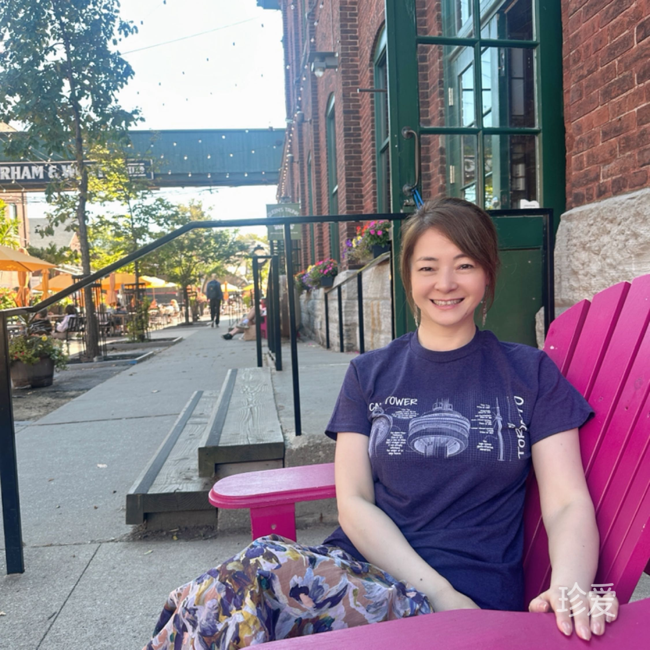 白玫瑰与红玫瑰