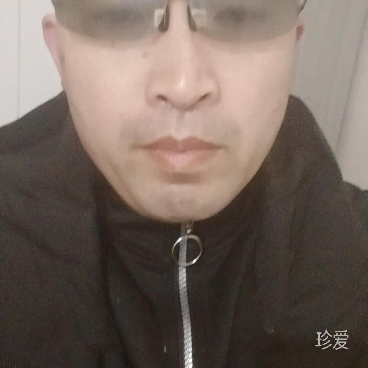 金子寻真爱