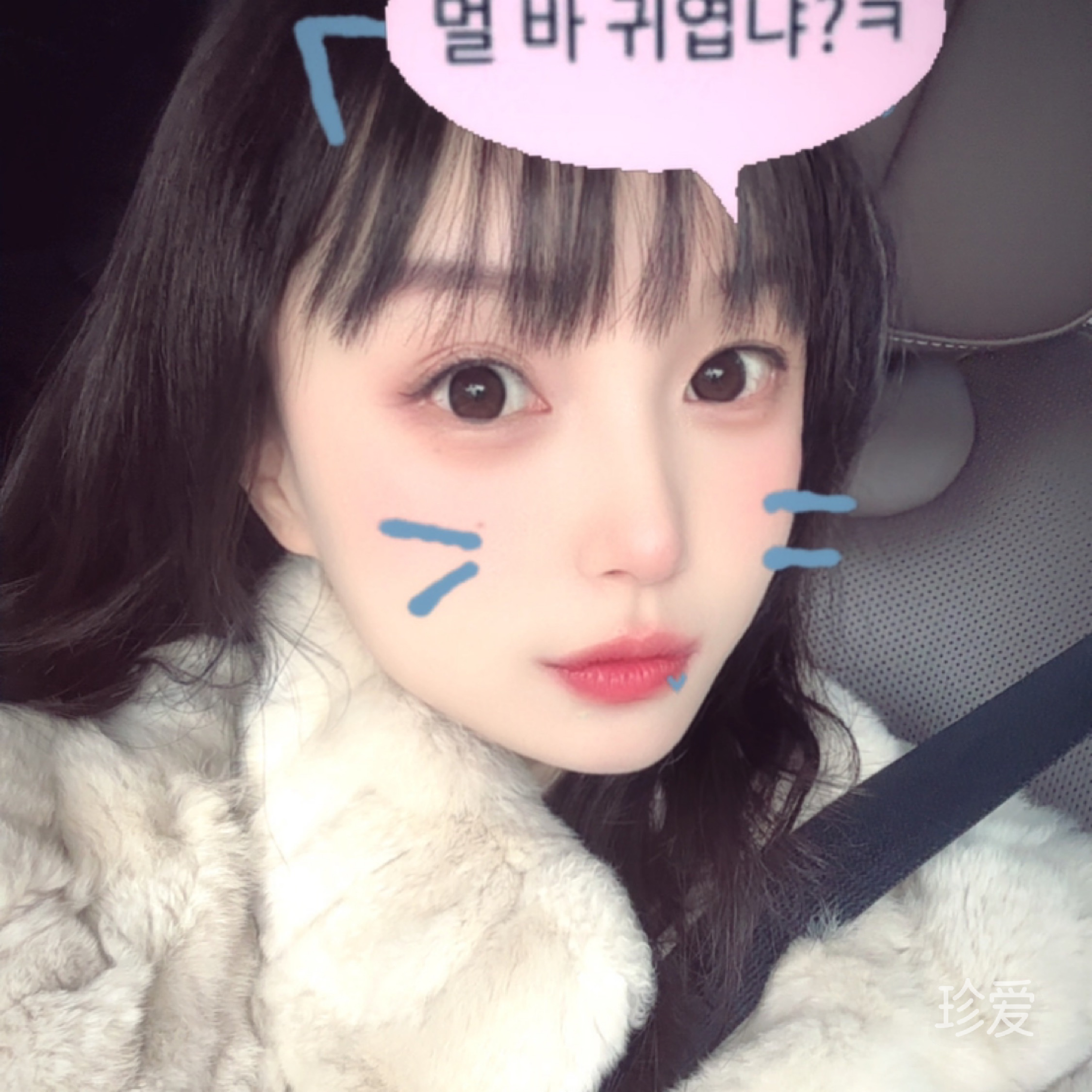 芸汐