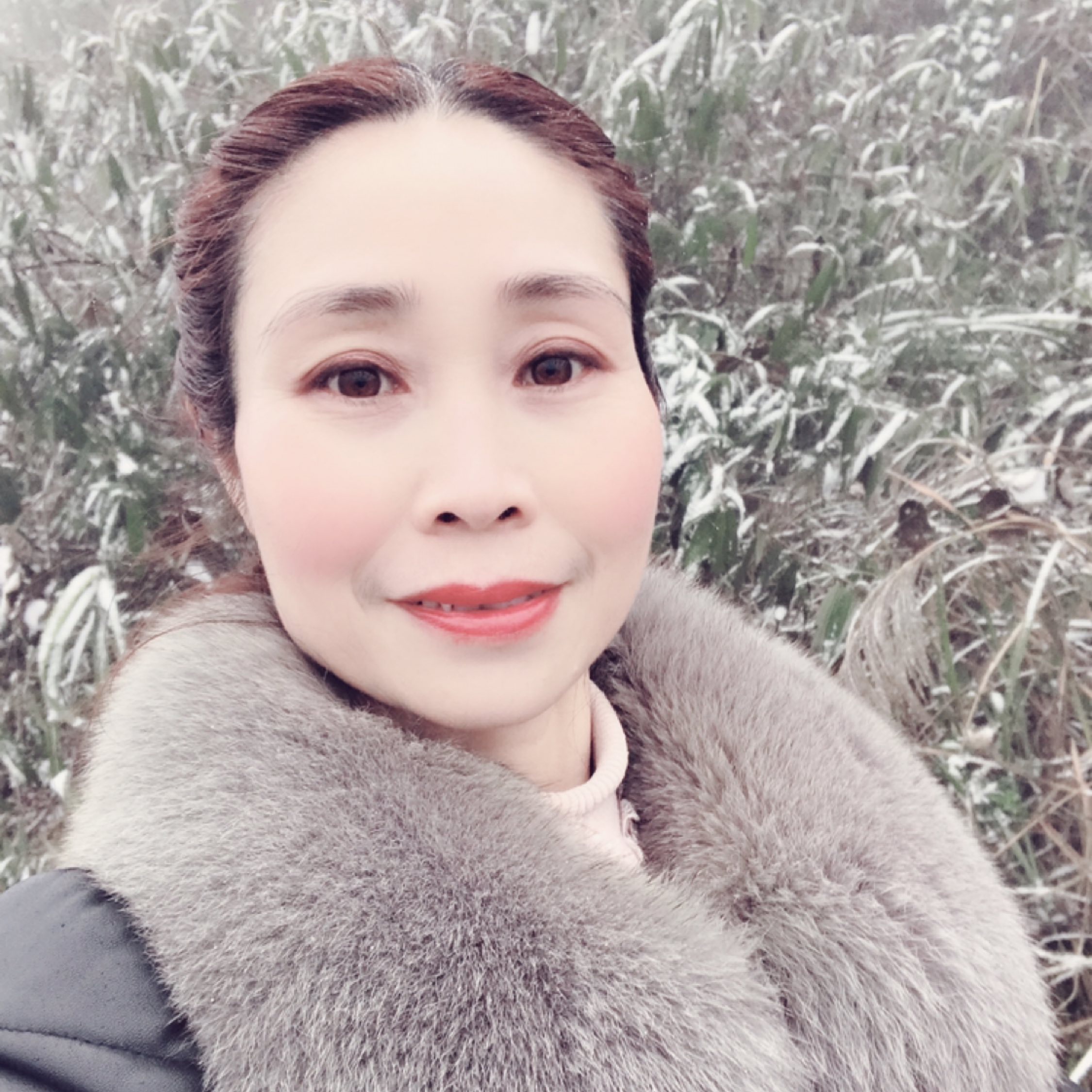 風(fēng)雨中的百合