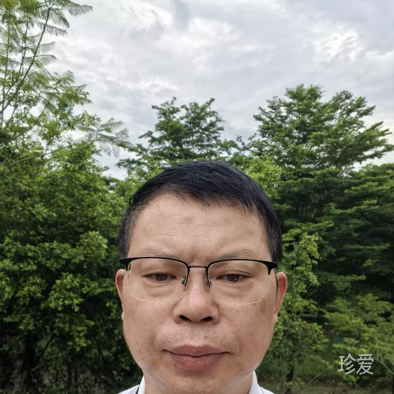 缘见
