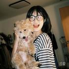 圖圖