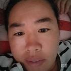 小綿羊