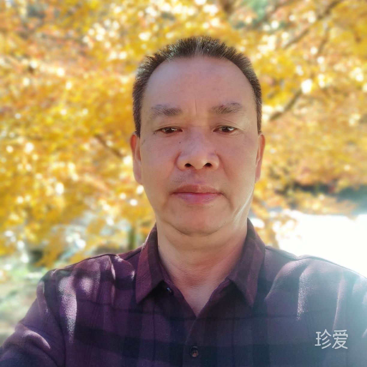 真诚的你