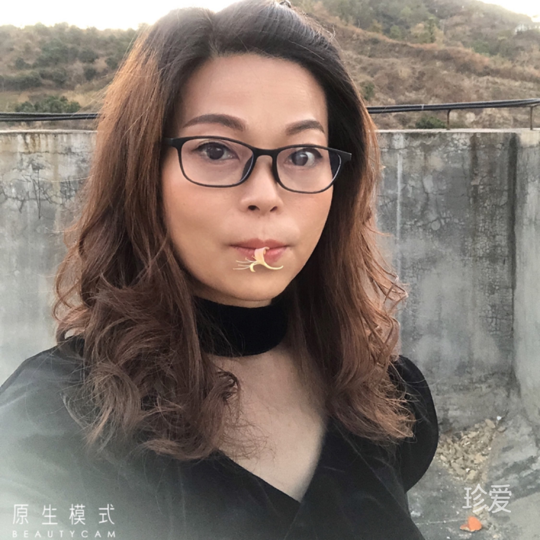 菁子