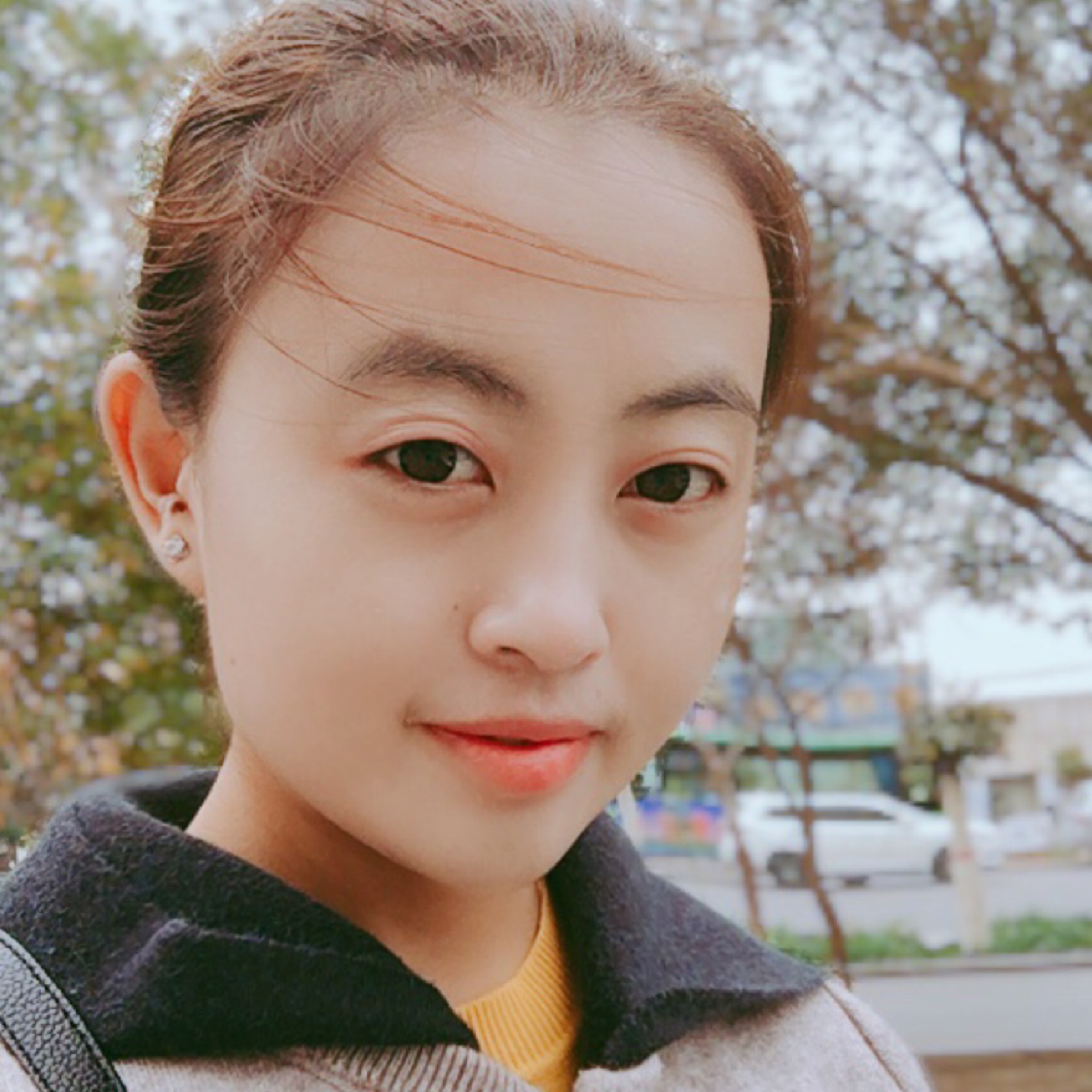 左手邊的薰衣草