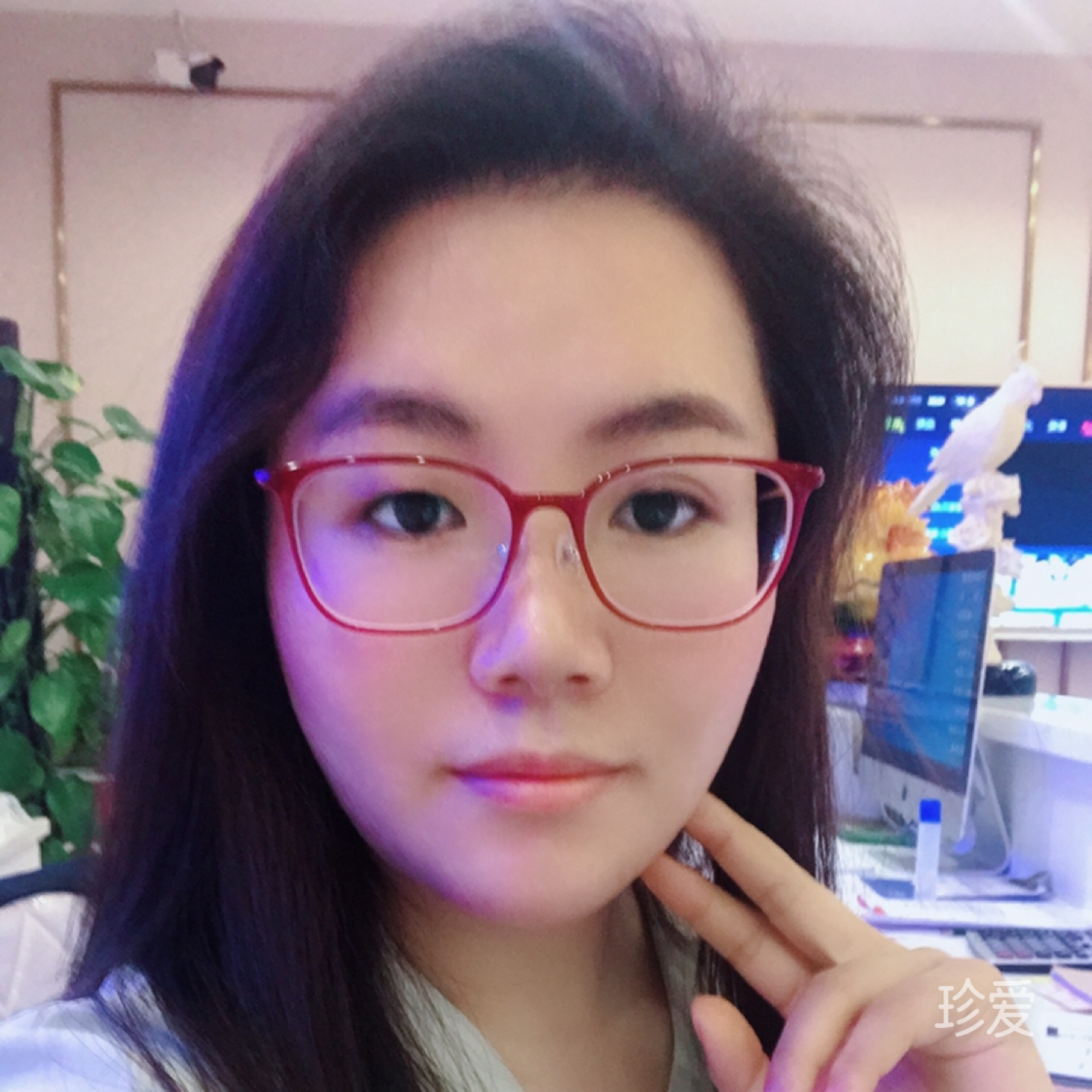 风高月琴