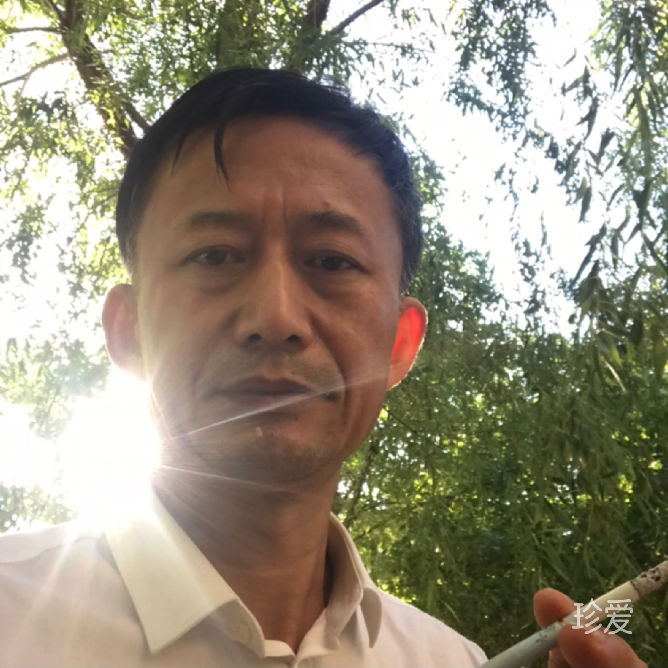 我的她你在哪里