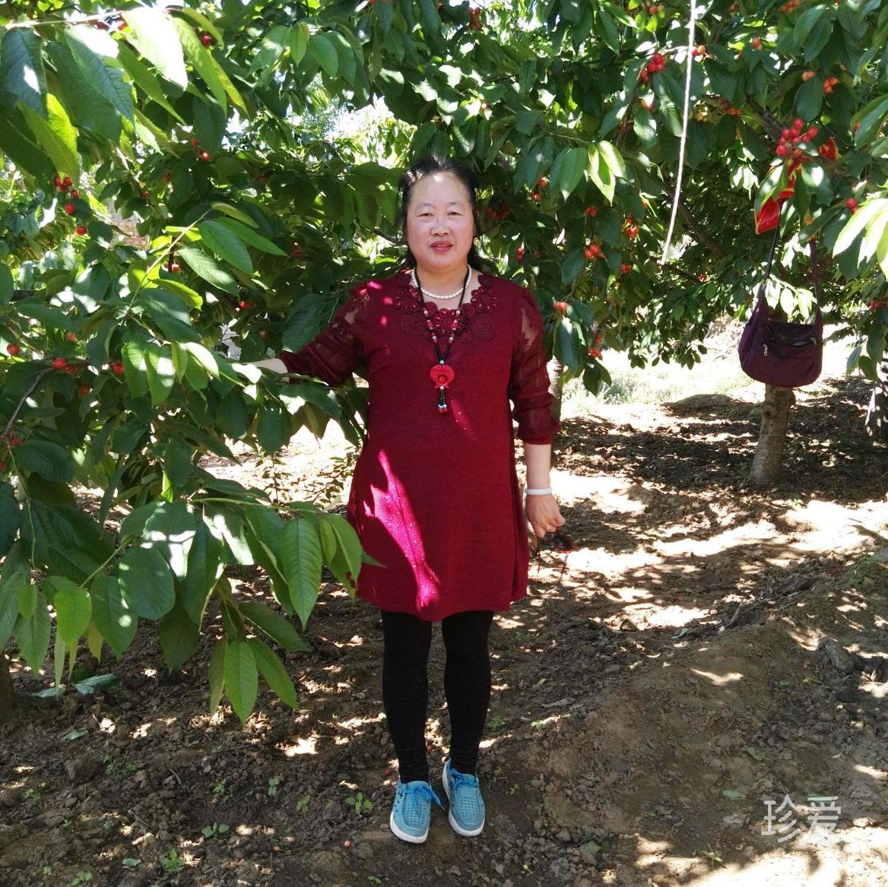 等愛的藍(lán)英姐