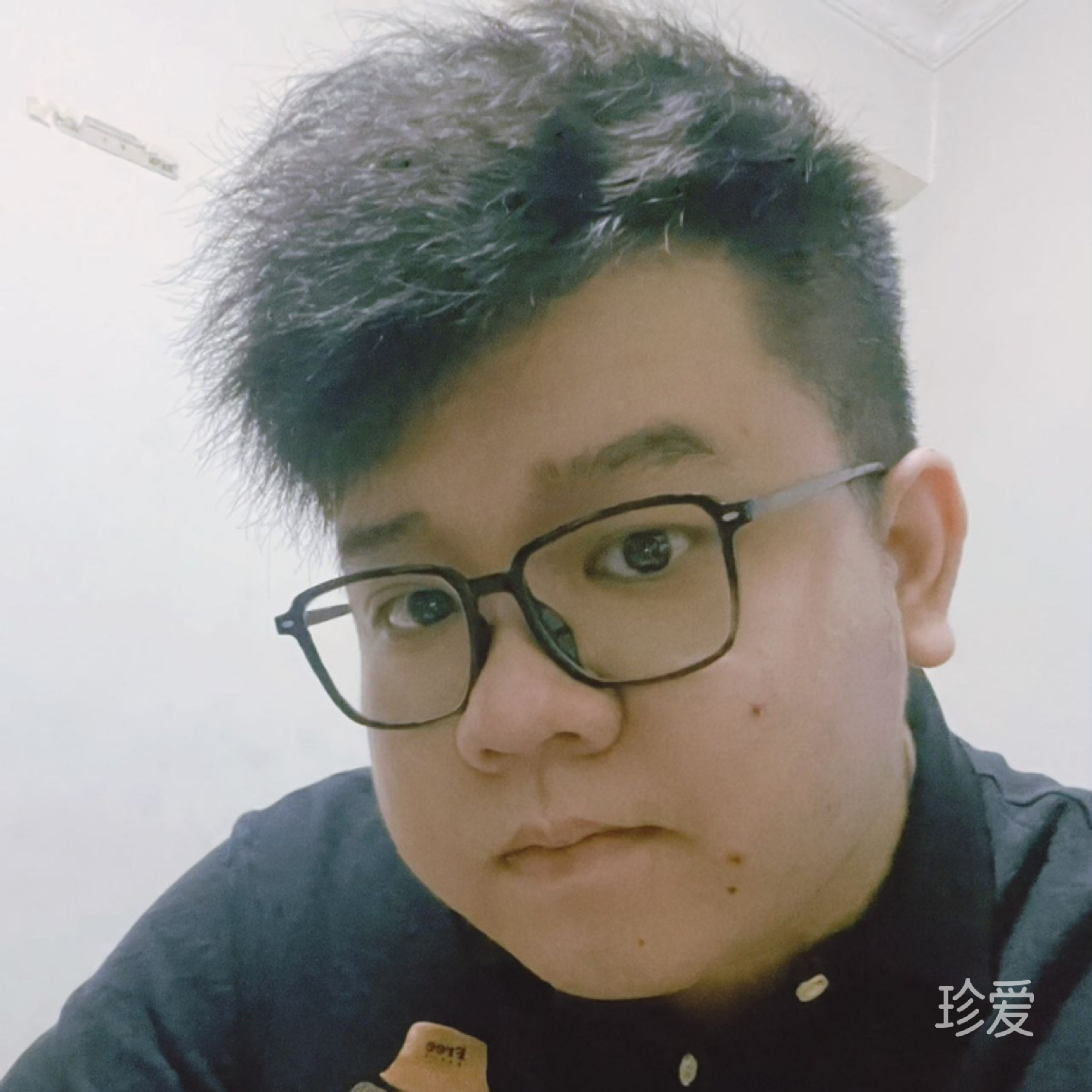 鹏鹏