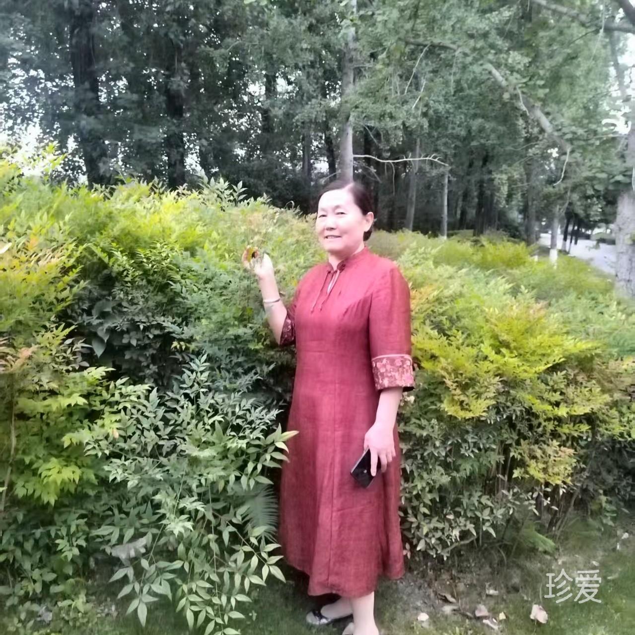 罗帛华