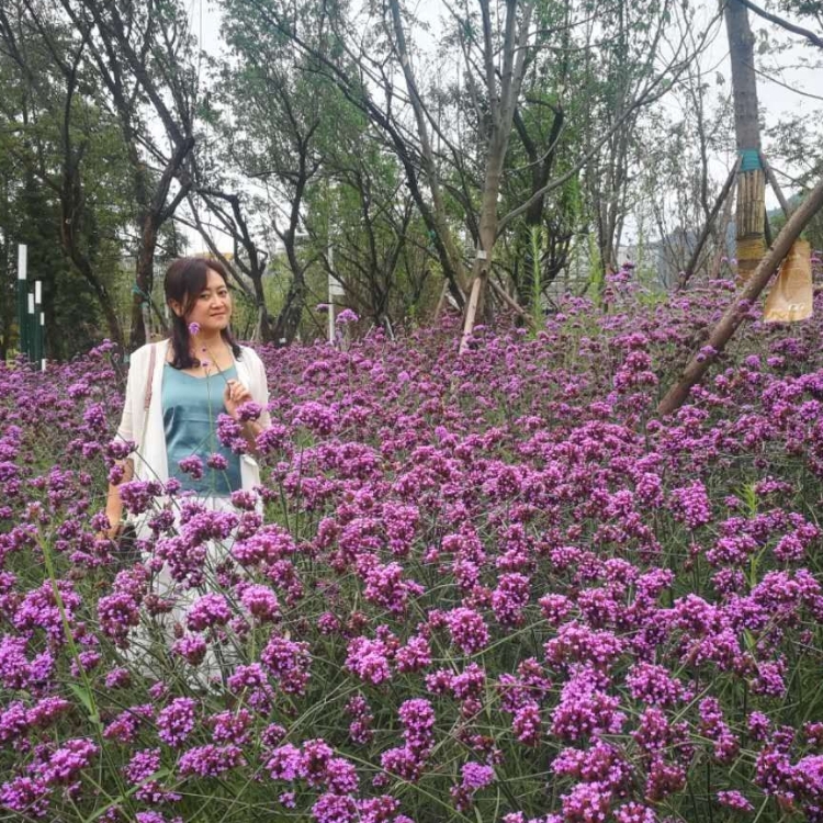 一個人的時分秒